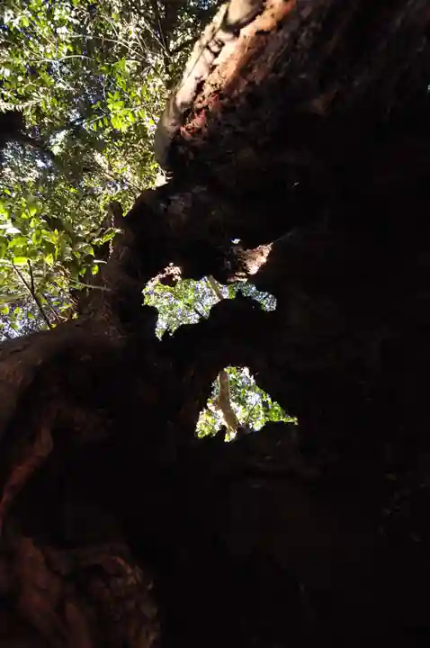 三島神社(愛媛県)