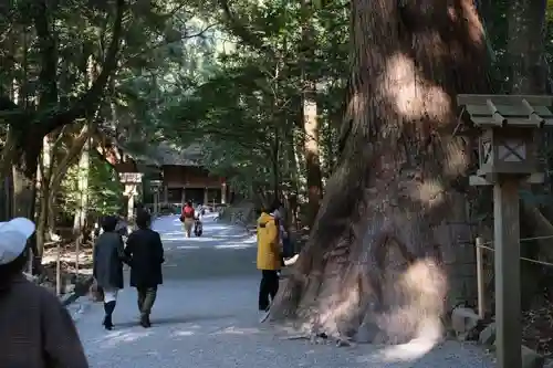 伊勢神宮内宮（皇大神宮）の自然