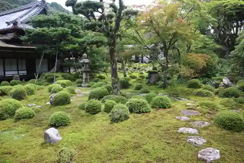 金剛寺(大阪府)