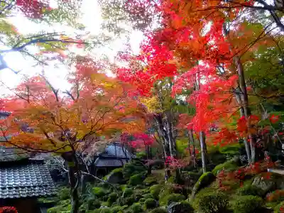 教林坊(滋賀県)