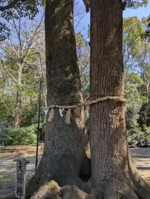 男神社(大阪府)