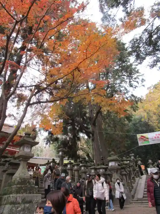 春日大社(奈良県)