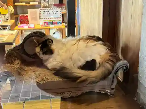 たま神社(和歌山県)