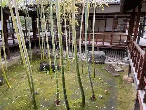 妙顯寺（妙顕寺）(京都府)