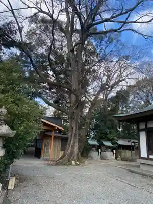 大宮神社の自然