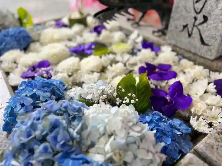 札幌諏訪神社の手水舎