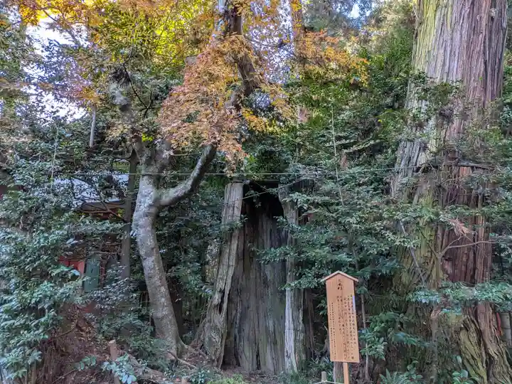 香取神宮(千葉県)