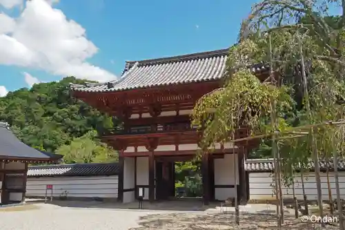 金剛寺(大阪府)