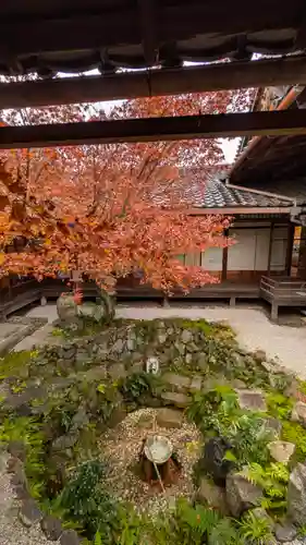 興聖寺(京都府)