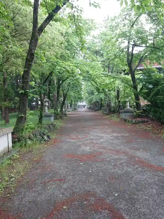 冨士御室浅間神社の自然