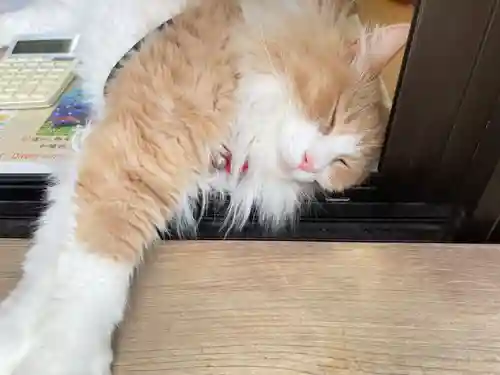 駒込妙義神社(東京都)