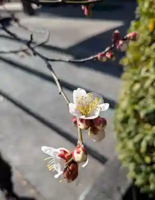 横浜　西方寺(神奈川県)