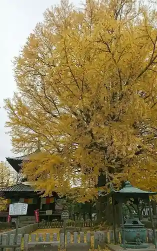 鑁阿寺(栃木県)