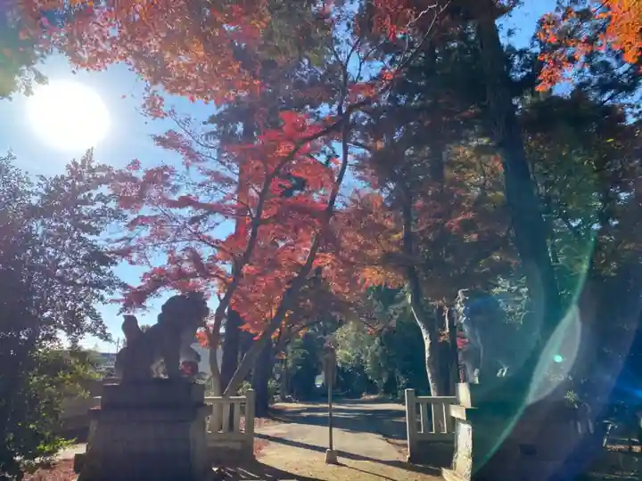 鹿嶋神社の自然