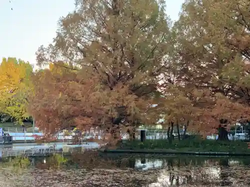 武蔵一宮氷川神社の景色