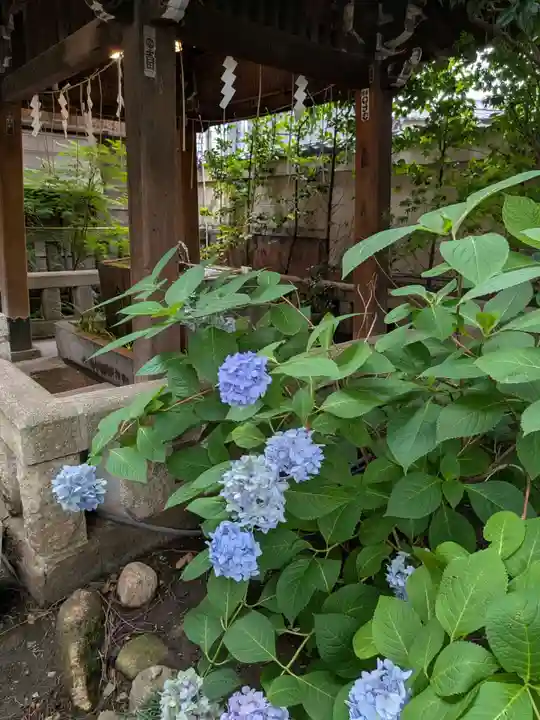 小野照崎神社(東京都)