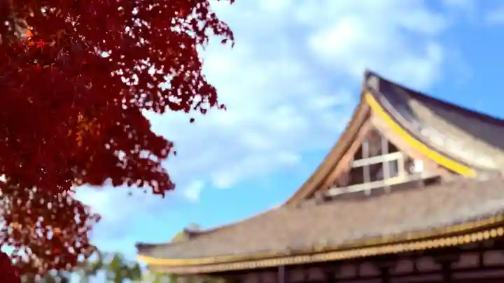 蓮華王院(三十三間堂)(京都府)