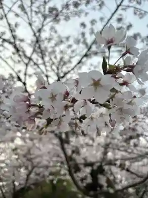 龍城神社の{uncategorized: "未分類", other: "その他", undefined: "問題あり", building: "その他建物", grave: "お墓", sacred_gate: "鳥居", guardian: "狛犬", statue: "像", buddha: "仏像", history: "歴史", nature: "自然", garden: "庭園", animal: "動物", pagoda: "塔", temizu: "手水舎", mountain_gate: "山門・神門", sanctuary: "本殿・本堂", subordinate: "末社・摂社", art: "芸術", scenery: "景色", jizo: "地蔵", ema: "絵馬", goshuin: "御朱印", omikuji: "おみくじ", items: "授与品その他", amulet: "お守り", goshuincho: "御朱印帳", eats: "食事", festival: "お祭り", votive_dance: "神楽", shichigosan: "七五三参", wedding: "結婚式", experience: "体験その他", initially: "初詣", around: "周辺", anti_infection: "感染症対策"}