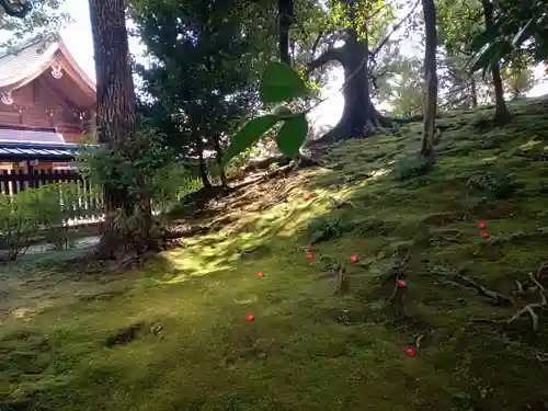 城南宮(京都府)