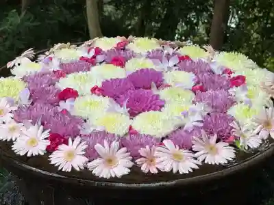 武蔵一宮氷川神社(埼玉県)