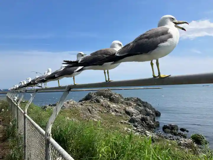 蕪嶋神社(青森県)