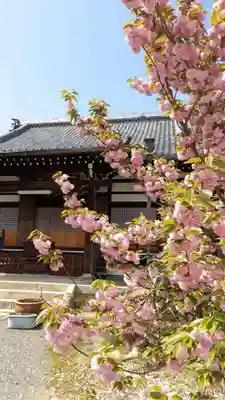 本満寺(本願満足寺)(京都府)