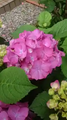 本郷氷川神社(東京都)