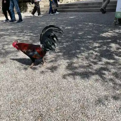 石上神宮(奈良県)