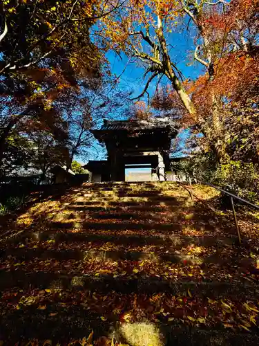 安国寺(京都府)