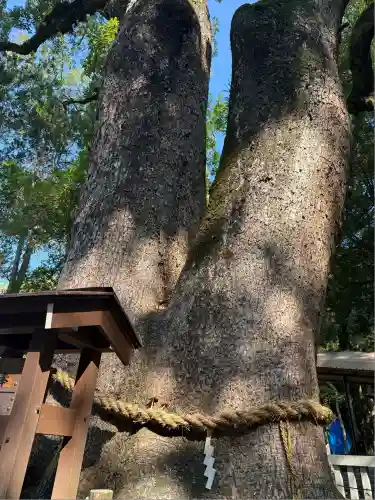 伊弉諾神宮(兵庫県)