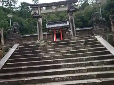 日吉神社（勝野）の鳥居