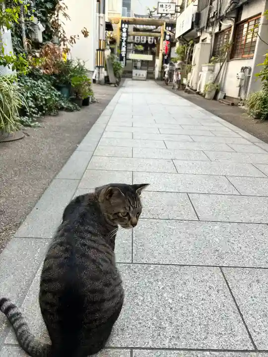華下天滿神社の動物