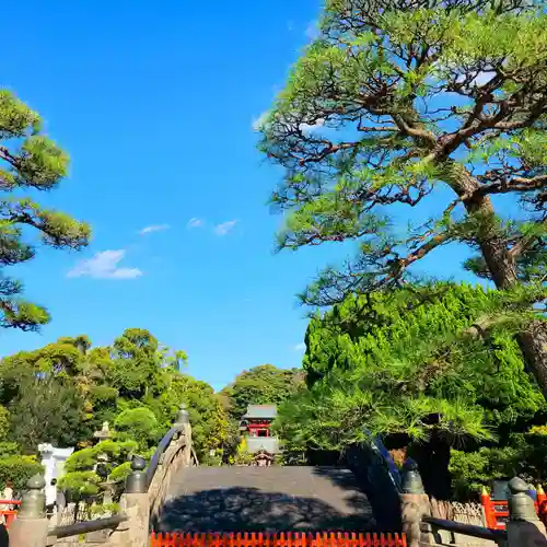 鶴岡八幡宮の景色