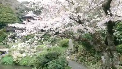 光明寺の{uncategorized: "未分類", other: "その他", undefined: "問題あり", building: "その他建物", grave: "お墓", sacred_gate: "鳥居", guardian: "狛犬", statue: "像", buddha: "仏像", history: "歴史", nature: "自然", garden: "庭園", animal: "動物", pagoda: "塔", temizu: "手水舎", mountain_gate: "山門・神門", sanctuary: "本殿・本堂", subordinate: "末社・摂社", art: "芸術", scenery: "景色", jizo: "地蔵", ema: "絵馬", goshuin: "御朱印", omikuji: "おみくじ", items: "授与品その他", amulet: "お守り", goshuincho: "御朱印帳", eats: "食事", festival: "お祭り", votive_dance: "神楽", shichigosan: "七五三参", wedding: "結婚式", experience: "体験その他", initially: "初詣", around: "周辺", anti_infection: "感染症対策"}