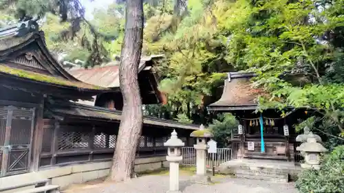 長浜八幡宮(滋賀県)