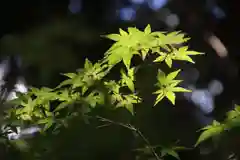 滑川神社 - 仕事と子どもの守り神の自然