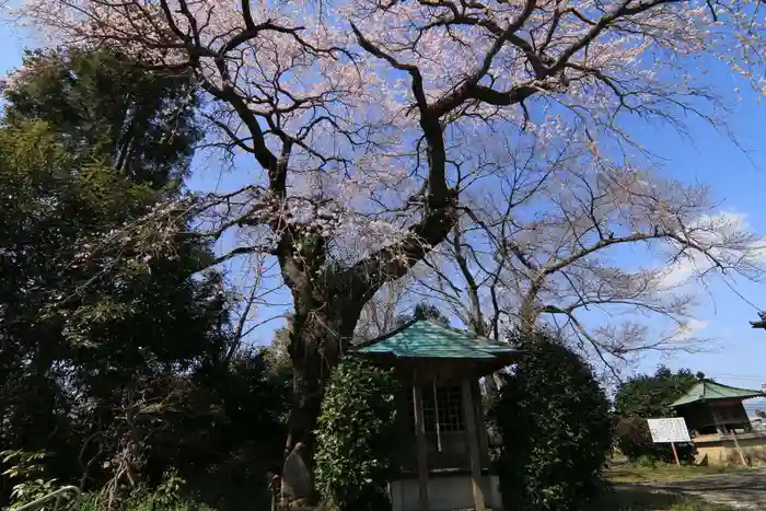 大日堂の建物その他