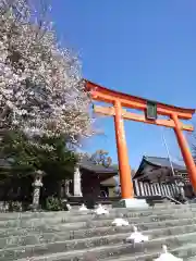 藤島神社（贈正一位新田義貞公之大宮）の鳥居