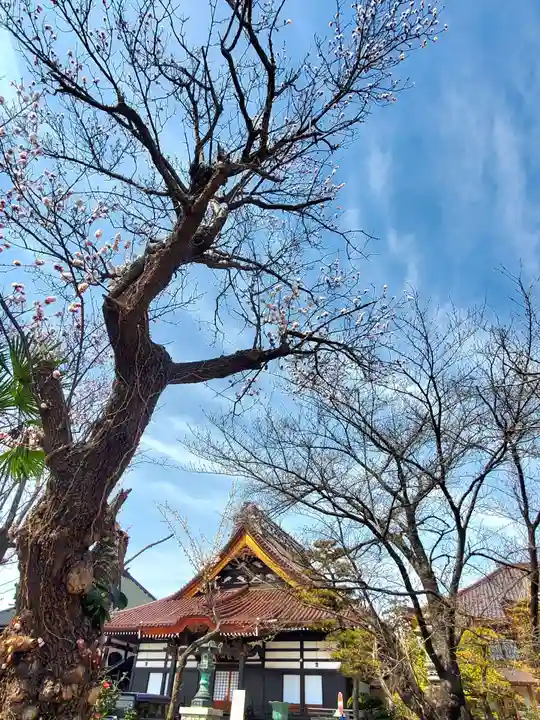 如宝寺(福島県)