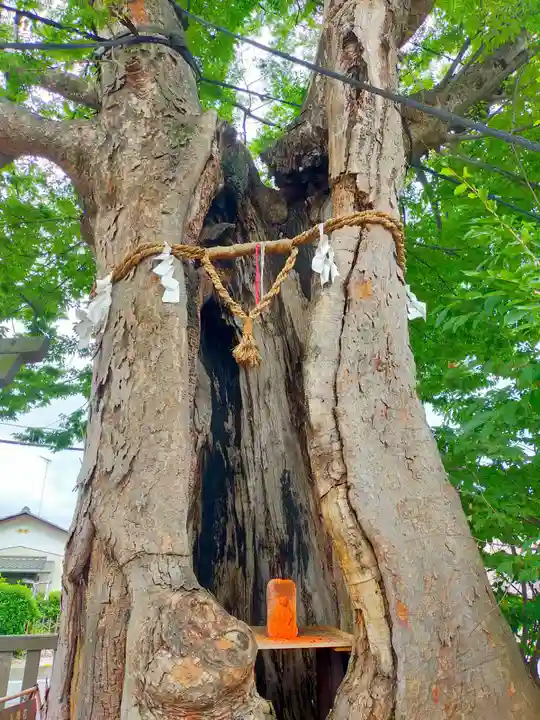 三ツ木神社(埼玉県)