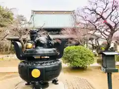 豪徳寺の建物その他