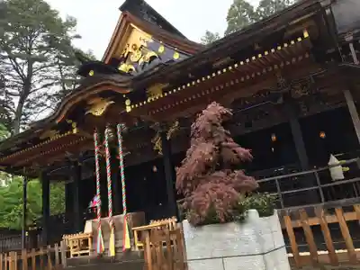 大崎八幡宮の本殿・本堂