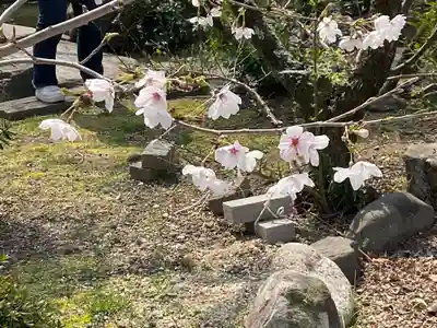 欣浄寺(京都府)
