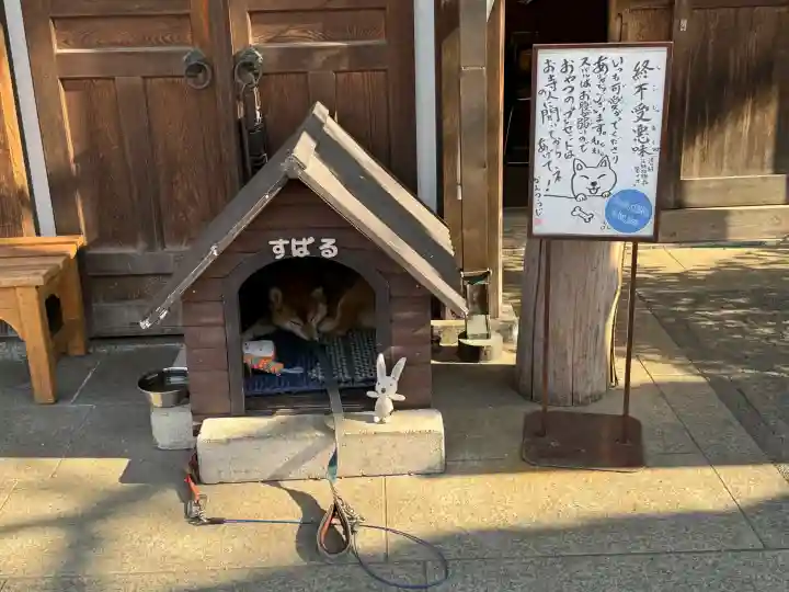感通寺の{uncategorized: "未分類", other: "その他", undefined: "問題あり", building: "その他建物", grave: "お墓", sacred_gate: "鳥居", guardian: "狛犬", statue: "像", buddha: "仏像", history: "歴史", nature: "自然", garden: "庭園", animal: "動物", pagoda: "塔", temizu: "手水舎", mountain_gate: "山門・神門", sanctuary: "本殿・本堂", subordinate: "末社・摂社", art: "芸術", scenery: "景色", jizo: "地蔵", ema: "絵馬", goshuin: "御朱印", omikuji: "おみくじ", items: "授与品その他", amulet: "お守り", goshuincho: "御朱印帳", eats: "食事", festival: "お祭り", votive_dance: "神楽", shichigosan: "七五三参", wedding: "結婚式", experience: "体験その他", initially: "初詣", around: "周辺", anti_infection: "感染症対策"}