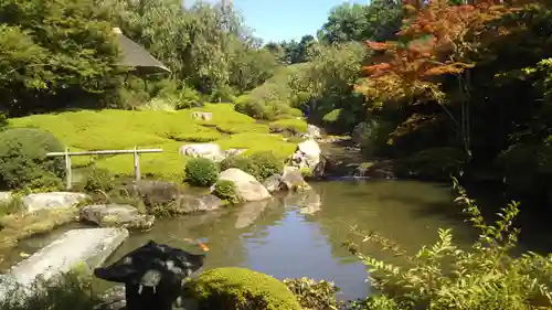 退蔵院の庭園