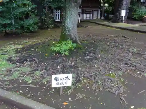 玉川神社の自然