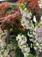 波除神社(波除稲荷神社)の自然