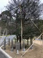 鹿嶋神社の自然