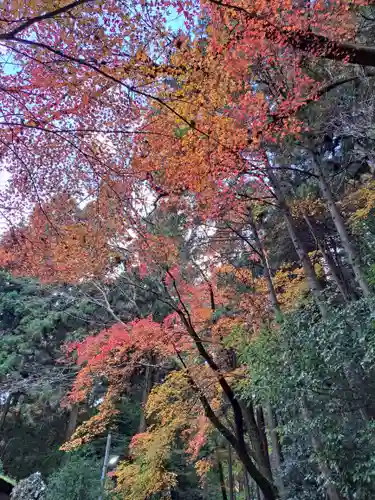 日吉大社(滋賀県)