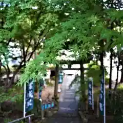 滑川神社 - 仕事と子どもの守り神の自然